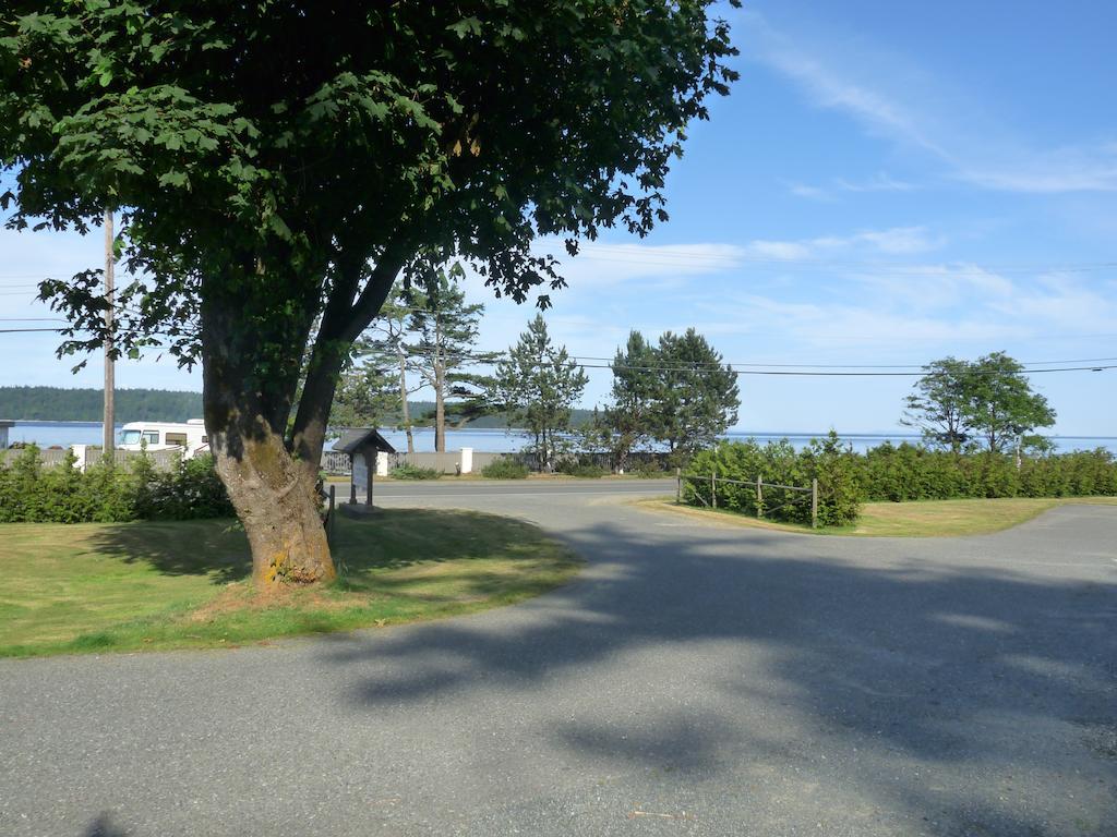 Driftwood By The Sea Inn Campbell River Eksteriør billede
