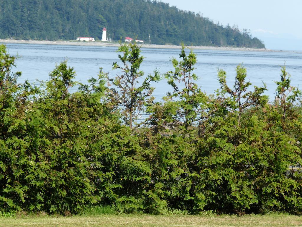 Driftwood By The Sea Inn Campbell River Eksteriør billede