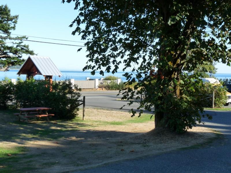 Driftwood By The Sea Inn Campbell River Eksteriør billede